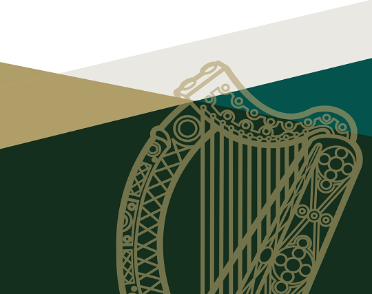 This is an image of the front page of the Design document used by the Irish Government for public information.